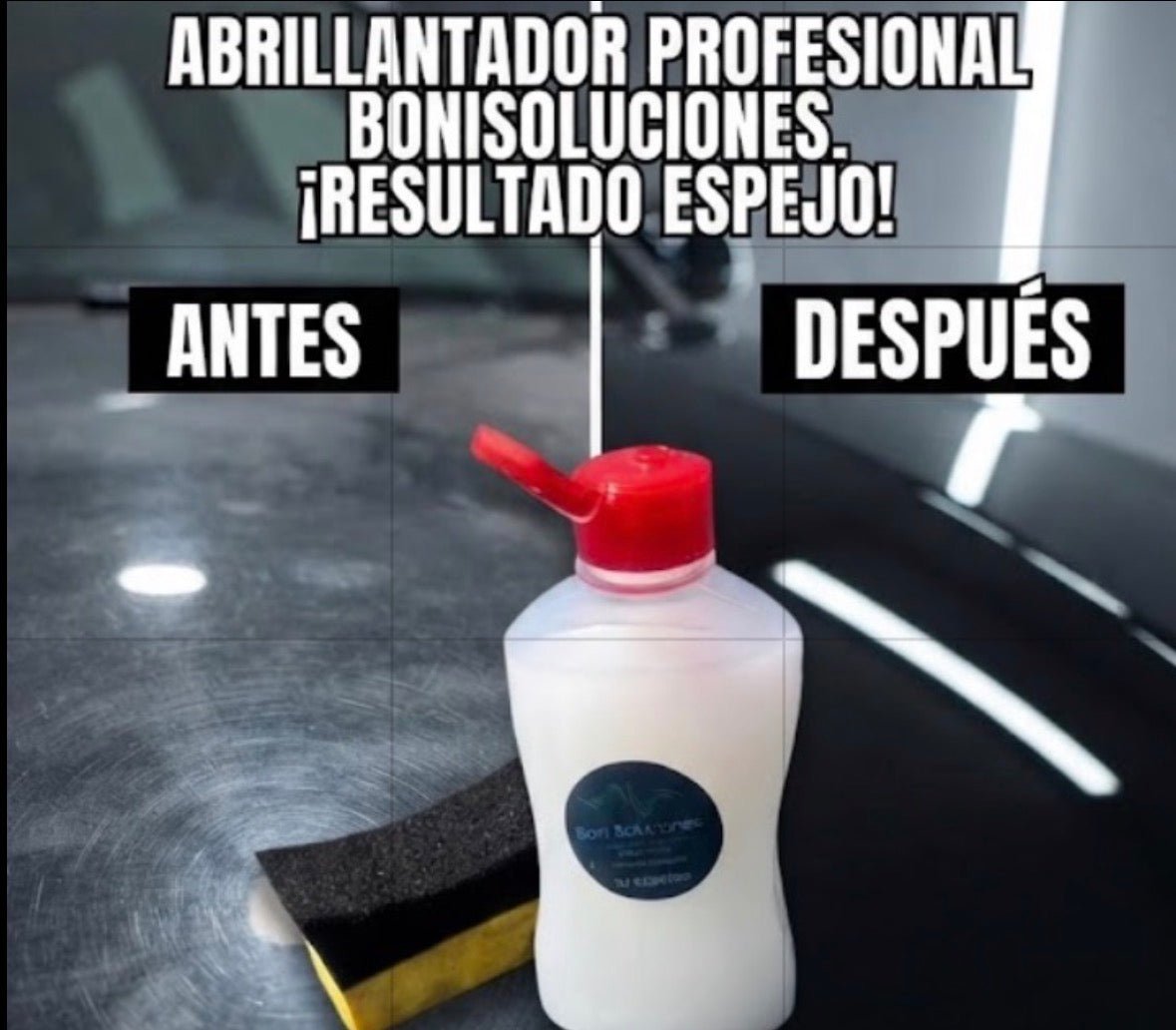 Nutriente de Pintura Quemada - Bonisoluciones
