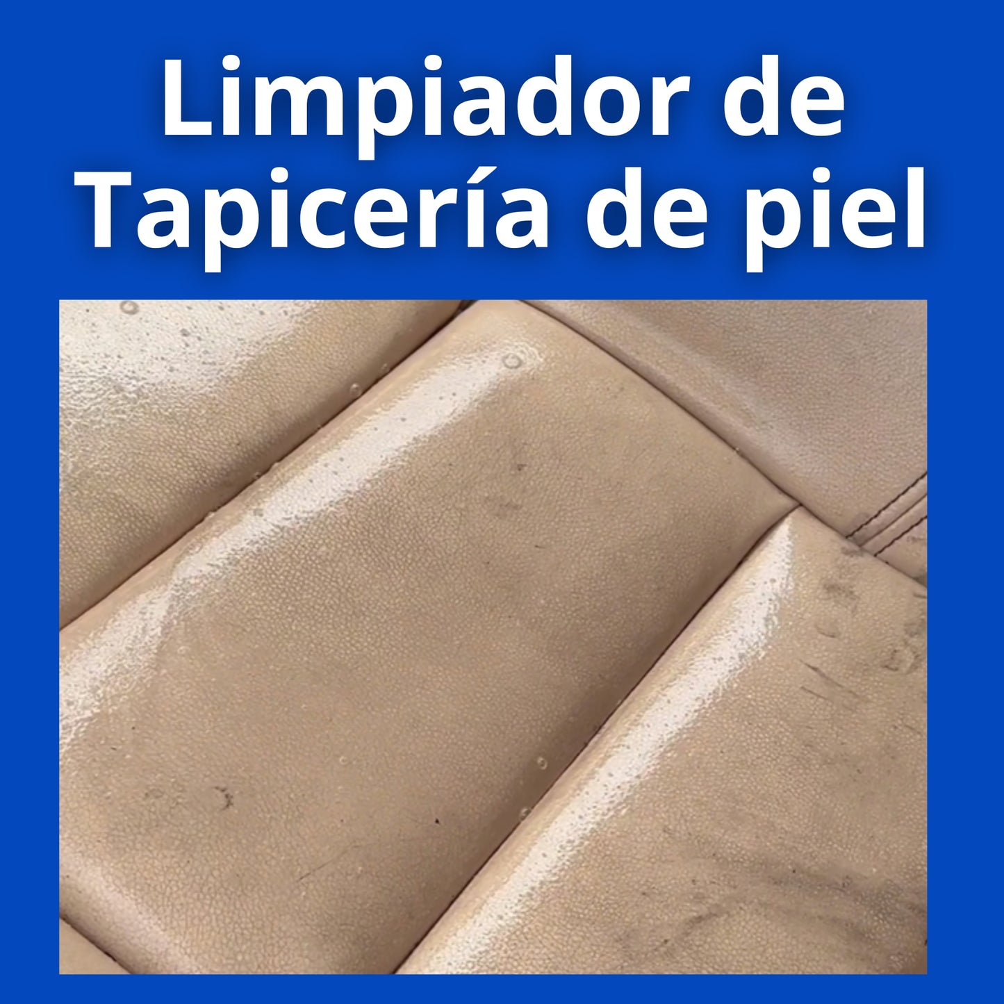 Limpieza de Tapicería de Piel en Seco