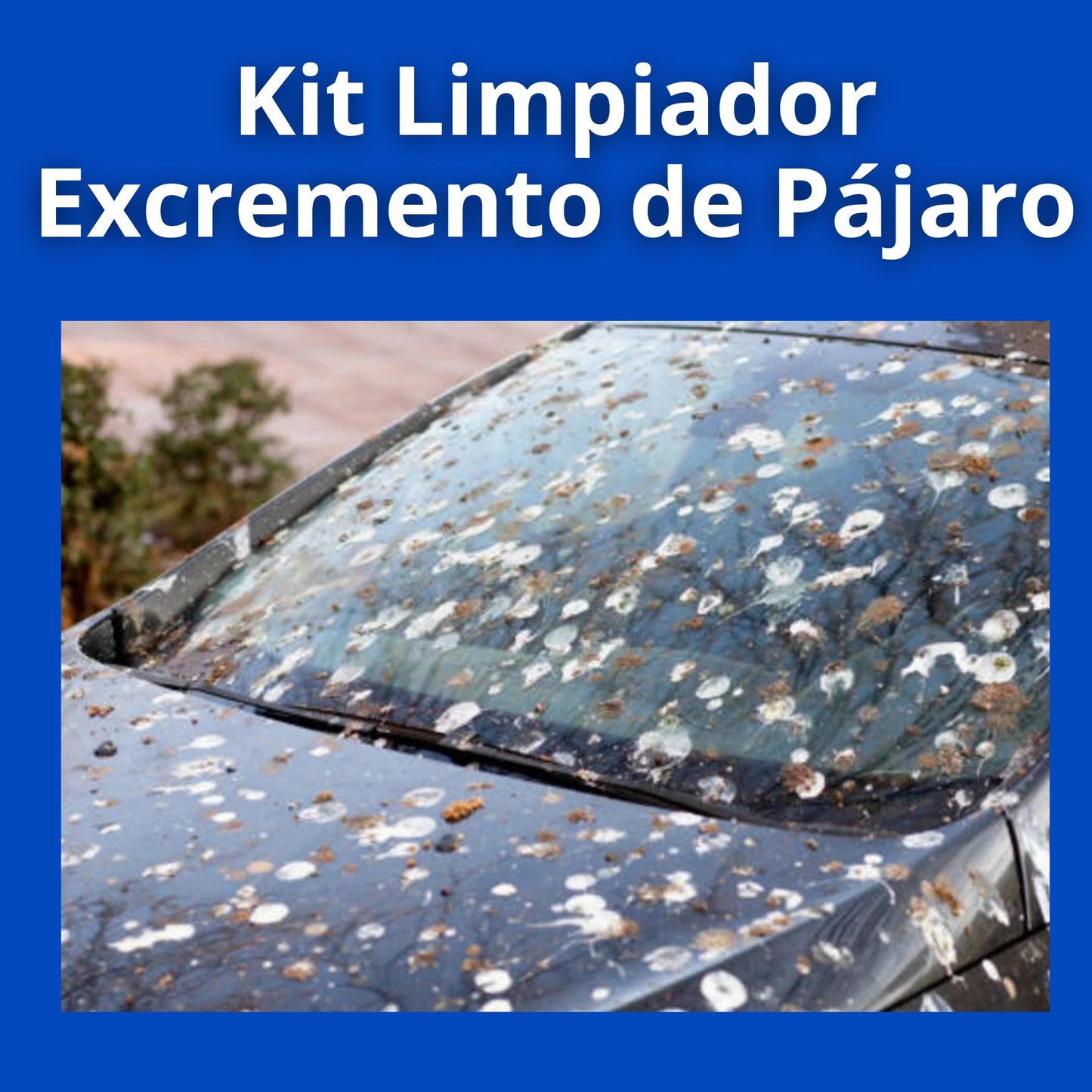 Kit Limpiador Anti-Excrementos de Pájaros