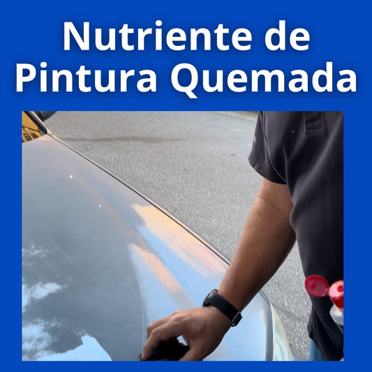 Nutriente de Pintura Quemada