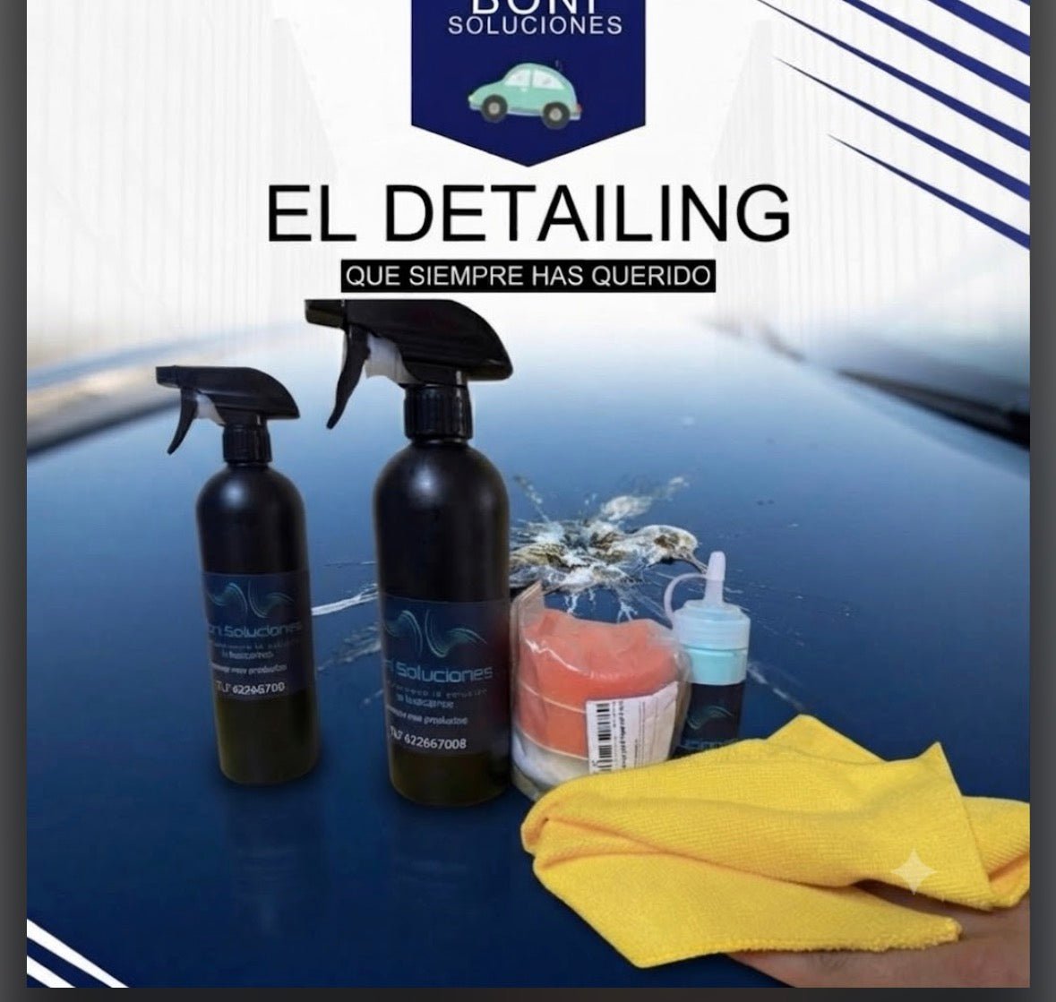 Kit Limpiador Anti-Excrementos de Pájaros - Bonisoluciones